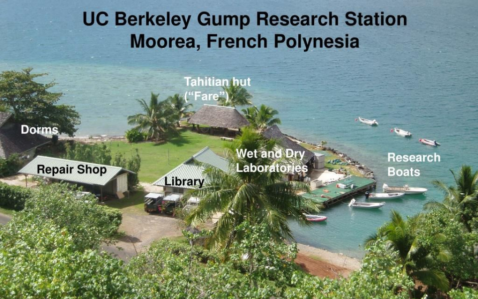 UC Berkeley Gump Research Station, Moorea